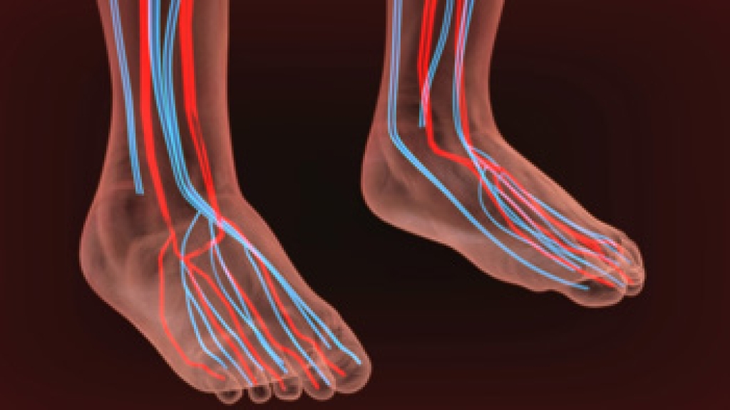 Poor Circulation and Its Impact on Foot Health